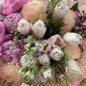 Meet your Posher, Stacy